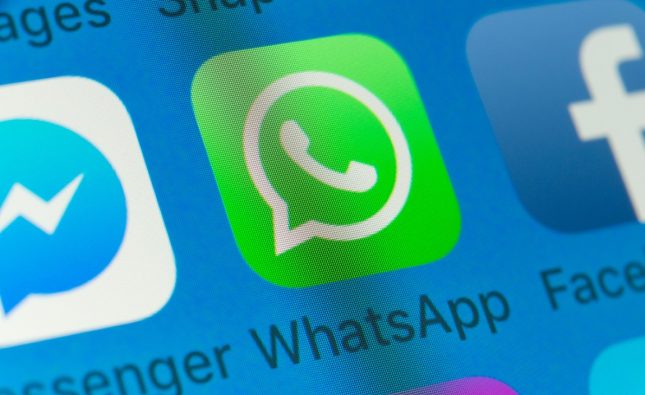 Cara Backup Chat WhatsApp: Biar Chat-mu Tetap Aman